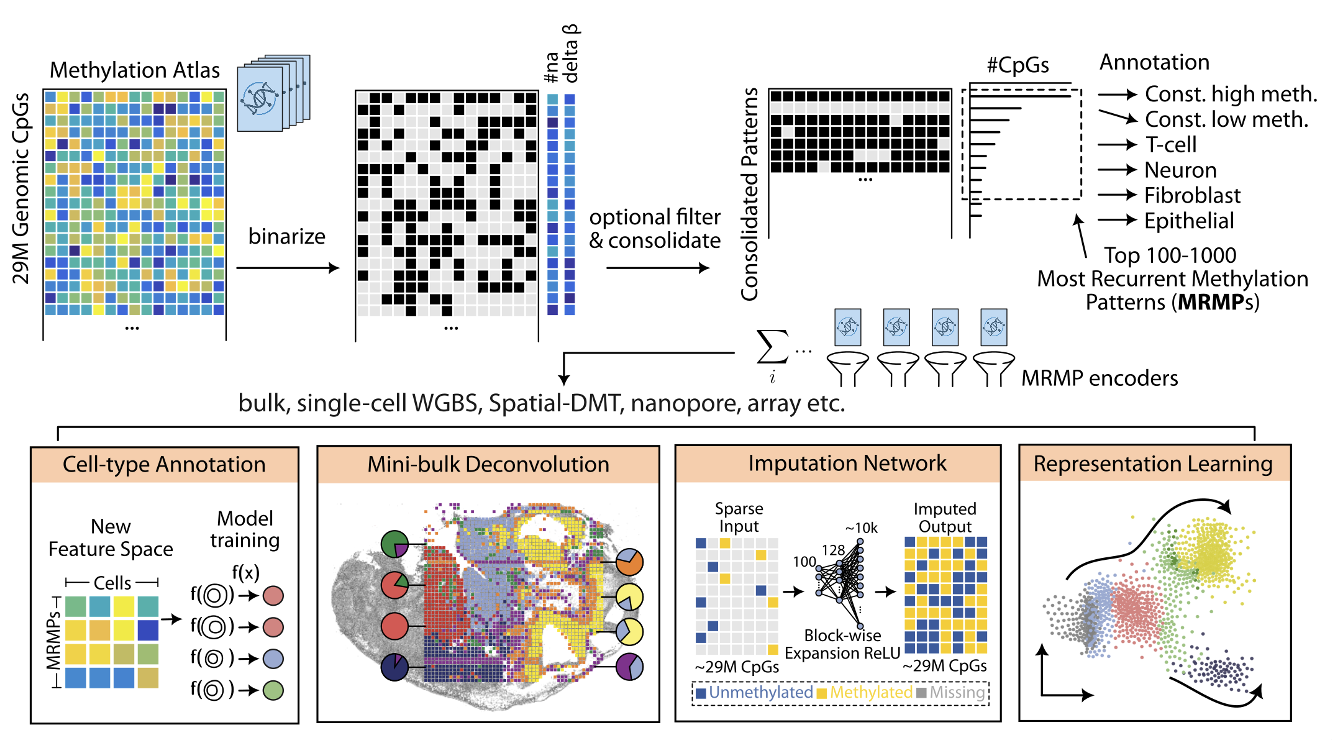 MethScope workflow overview