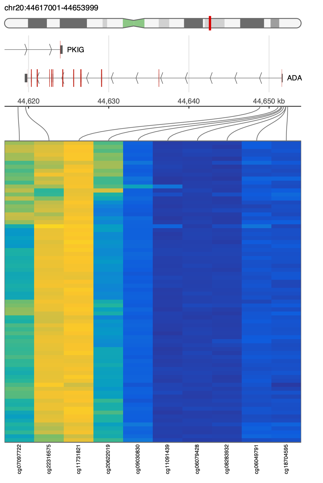 Region view (anchored heatmap) — cinderplot