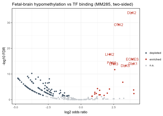 Volcano: fetal-brain hypomethylation vs TF binding, neuronal TFs labeled