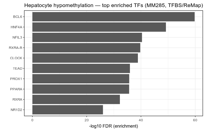 Horizontal bar chart of top hepatocyte-enriched TFs by -log10 FDR