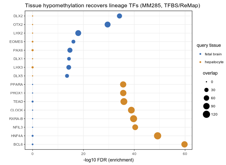 Paired dot plot: top TFs for fetal brain and hepatocyte, disjoint signatures