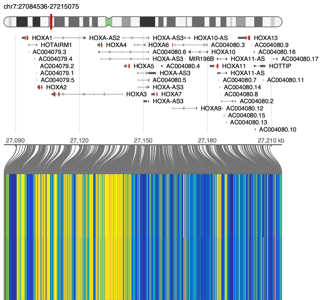 HOXA cluster methylation on a probe-anchored heatmap